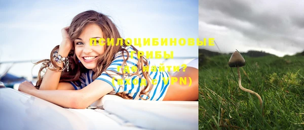 мяу мяу мука Рославль