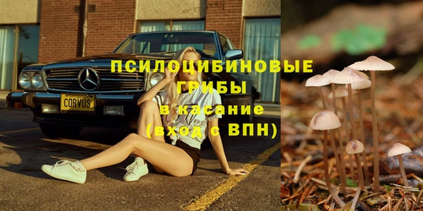 PSILOCYBIN Ростов