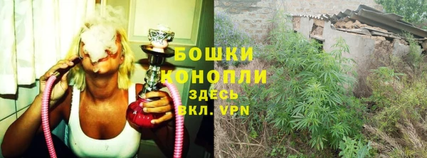 мяу мяу мука Рославль