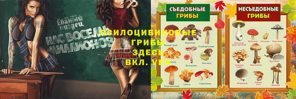 мяу мяу мука Рославль