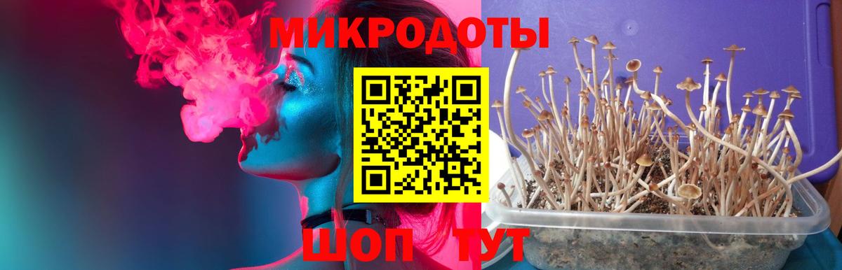 цены   Псилоцибиновые грибы мицелий  Вход с VPN  Уварово 